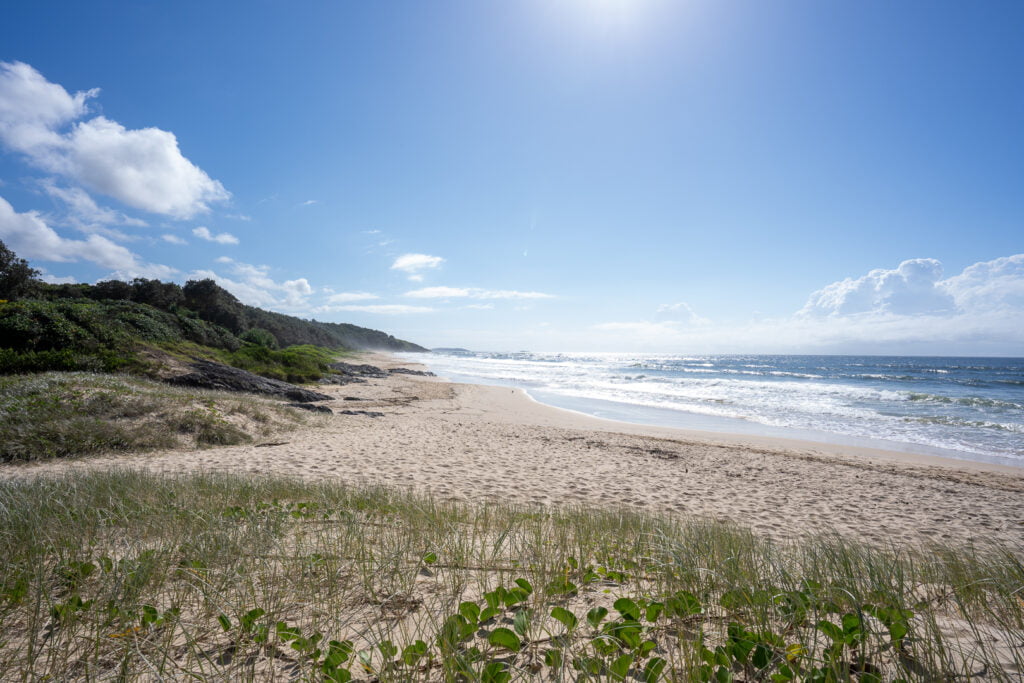 sun, surf, North
